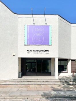 Earth - Tobias - Life, Tobias Gutmann, Solo show, Klaipeda Culture Communication Centre Tobias Gutmann - Face-o-mat / Sai Bot