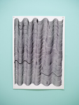 Earth - Tobias - Life, Tobias Gutmann, Solo show, Klaipeda Culture Communication Centre Tobias Gutmann - Face-o-mat / Sai Bot