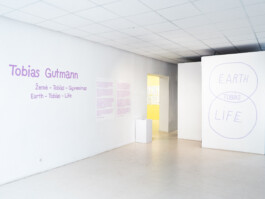 Earth - Tobias - Life, Tobias Gutmann, Solo show, Klaipeda Culture Communication Centre Tobias Gutmann - Face-o-mat / Sai Bot