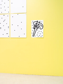 Earth - Tobias - Life, Tobias Gutmann, Solo show, Klaipeda Culture Communication Centre Tobias Gutmann - Face-o-mat / Sai Bot