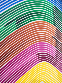 Earth - Tobias - Life, Tobias Gutmann, Solo show, Klaipeda Culture Communication Centre Tobias Gutmann - Face-o-mat / Sai Bot